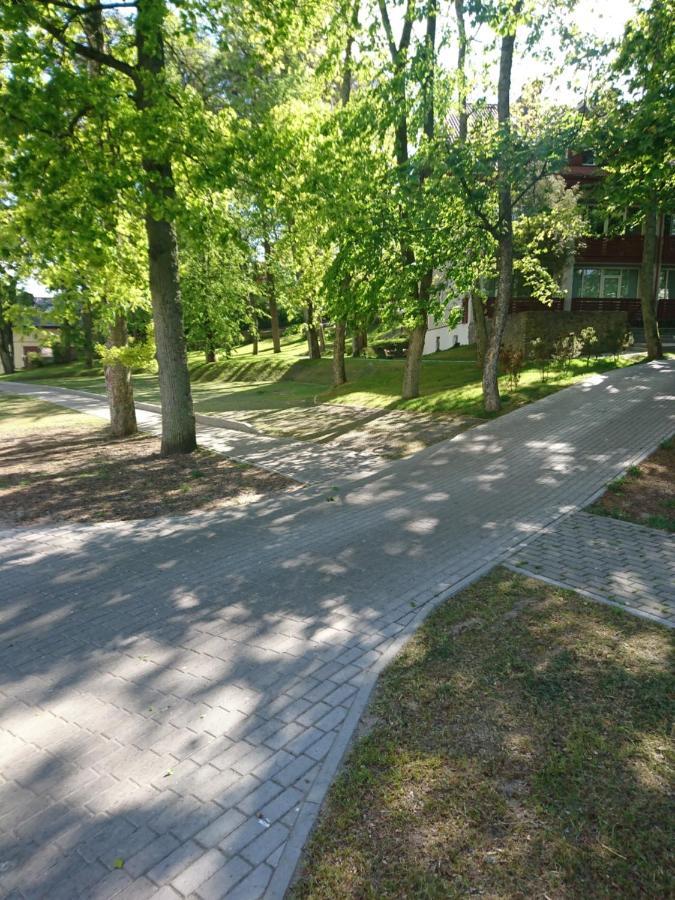 Kalno Studijos Leilighet Juodkrantė Eksteriør bilde